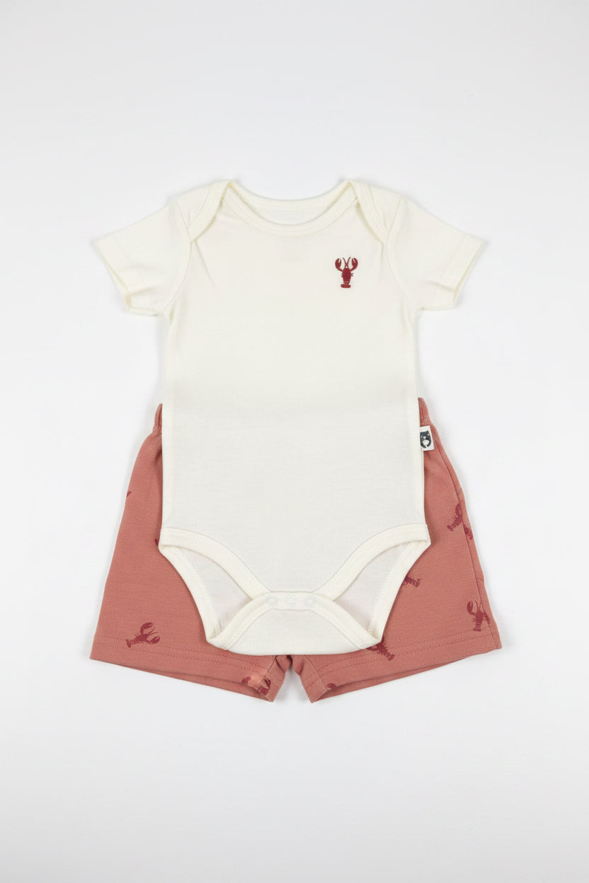 RABBIT BEAR CONJUNTO BEBÉ