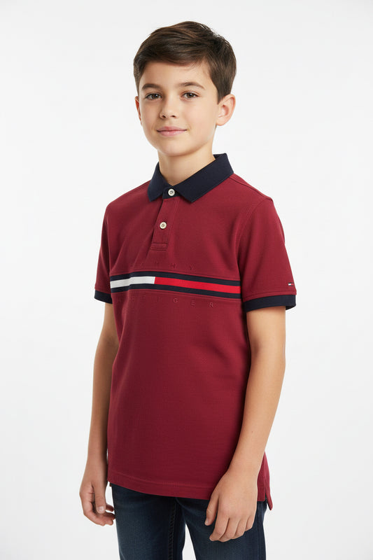 TOMMY HILFIGER CAMISA TIPO POLO DE NIÑO