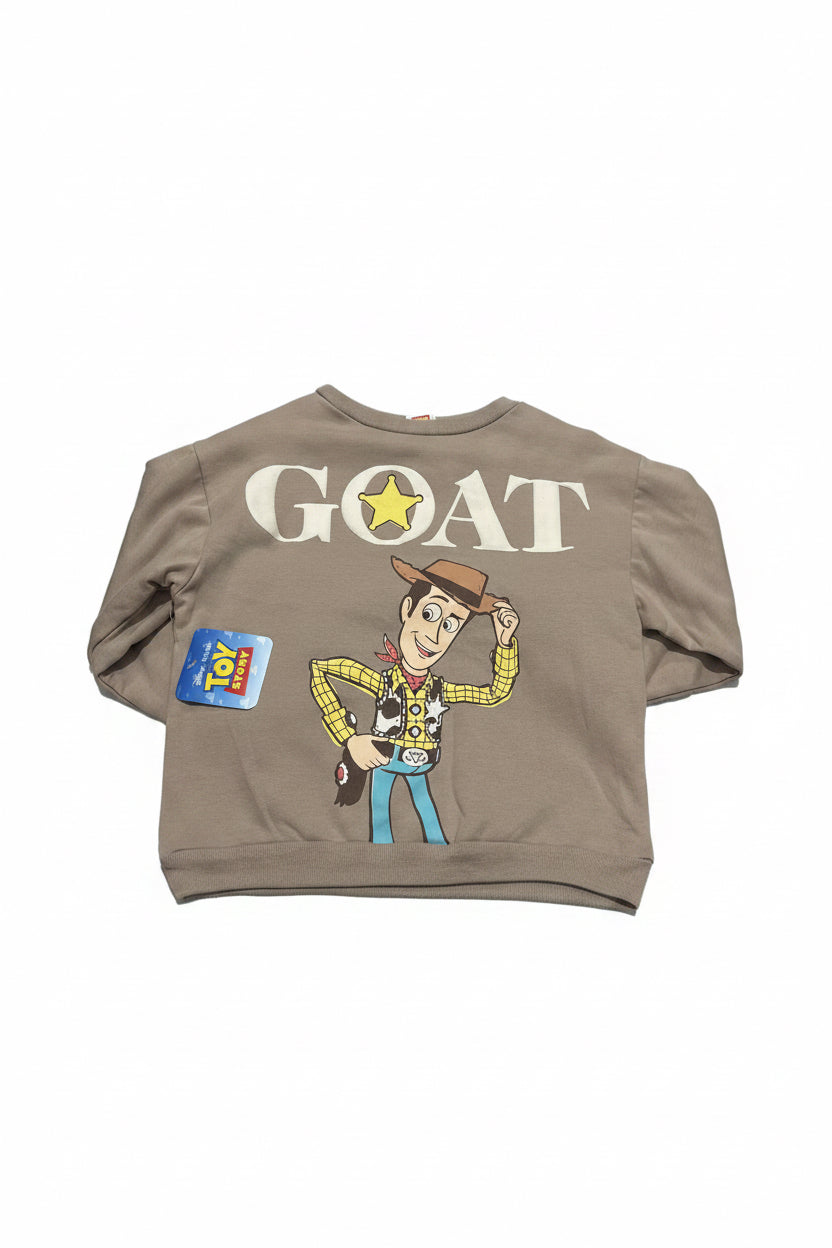 TOY STORY CONJUNTO DE NIÑO