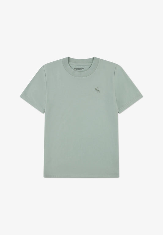 ABERCROMBIE KIDS Camisa de Niño