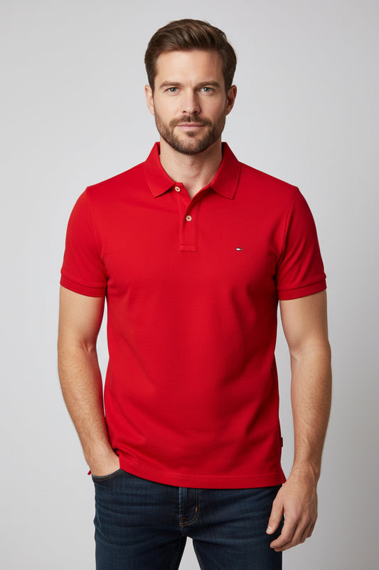 TOMMY HILFIGER TIPO POLO HOMBE