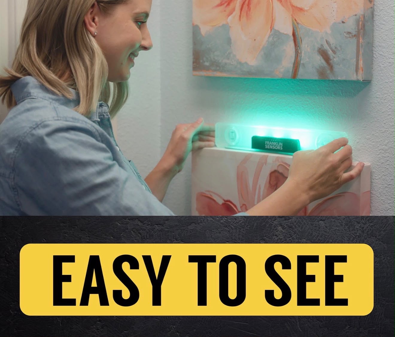 FRANKLIN SENSORS LIGHT LEVEL