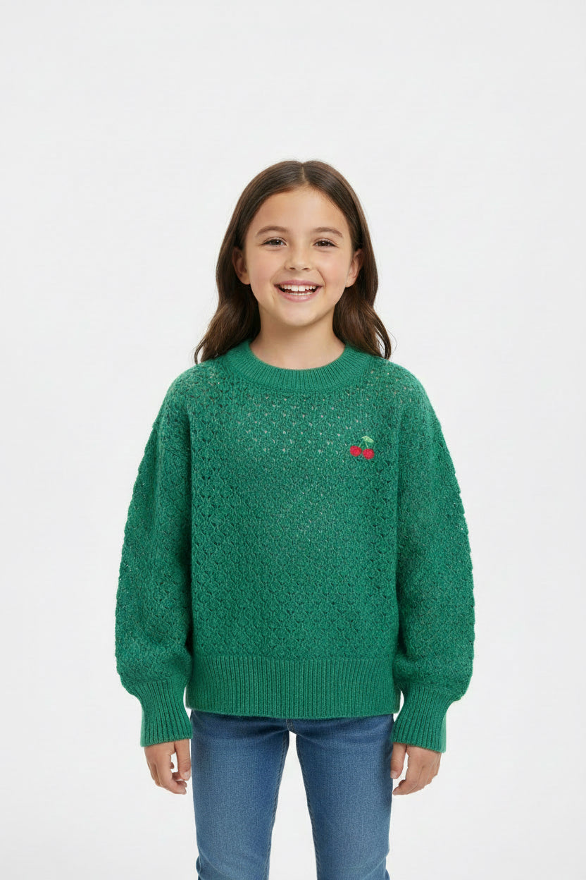 BABY GAP SUETER