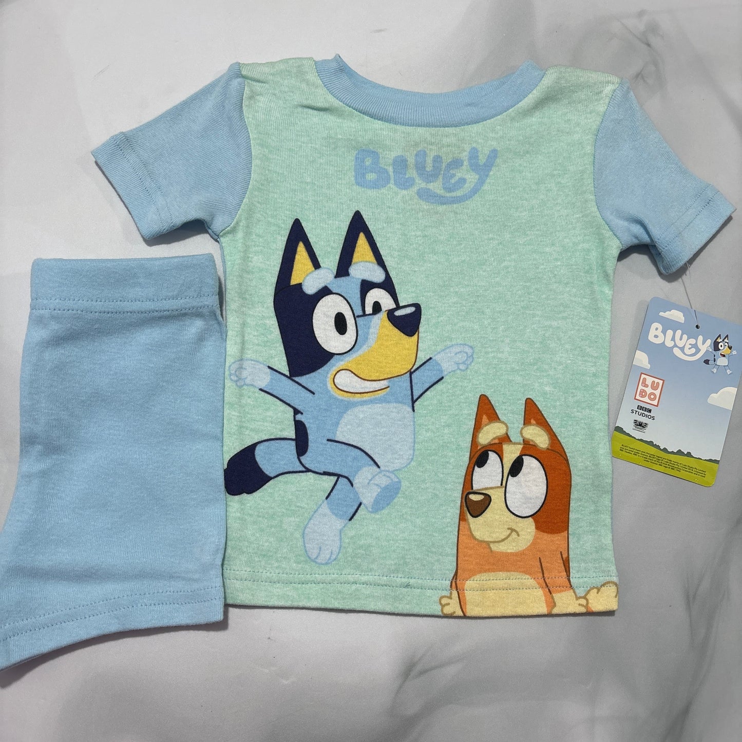 BLUEY CONJUNTO DE NIÑO