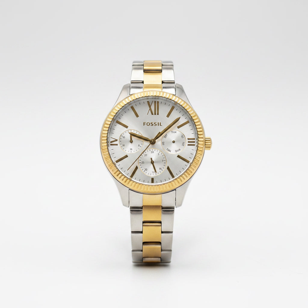 FÓSIL RELOJ