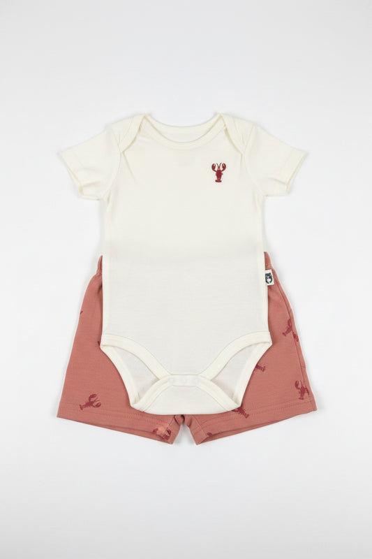RABBIT BEAR CONJUNTO BEBÉ