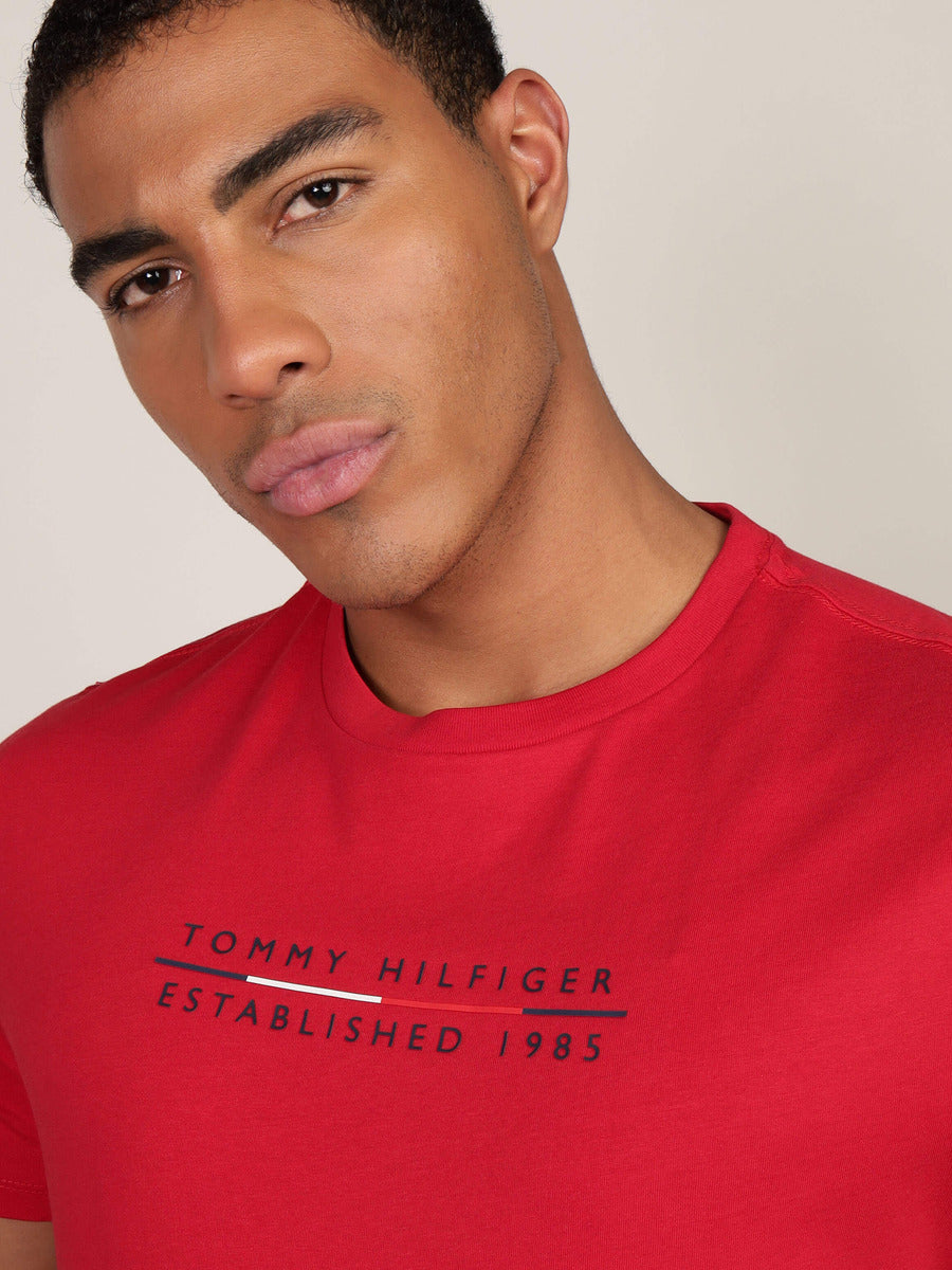 TOMMY HILFIGER CAMISETA   HOMBRE